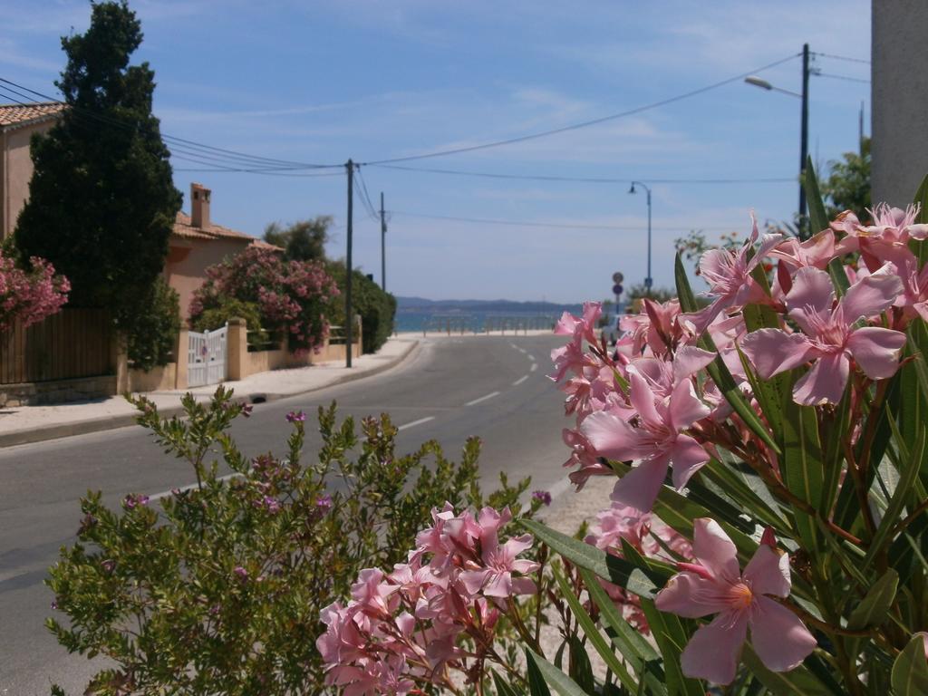 Hôtel le Calypso Hyères Exterior foto